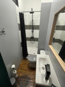 une petite salle de bain avec toilettes et lavabo dans l'établissement Opale 1, à Vichy