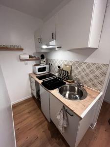 a small kitchen with a sink and a microwave at Le studio cosy in Vierzon +6 photos
