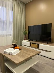 TV a/nebo společenská místnost v ubytování ZimApartment