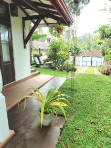Zahrada ubytování Blueray Villa
