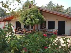 Zahrada ubytování Settebello Village