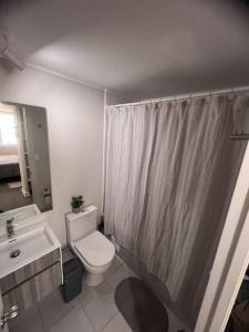a bathroom with a toilet and a shower curtain at Depto Residencial Guardia24 Hrs in Puerto Montt