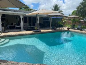 Bazén v ubytování Wilton Manors A Mens Oasis nebo v jeho okolí