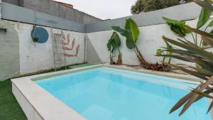 una piscina con una planta junto a una pared en Pátio Vilareto - Villa Clara, en São Domingos de Rana