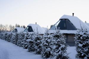 Reindeer Manor Levi v zimě