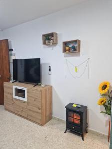a living room with a tv and a wood stove at El Rinconcito Mágico in El Bosque