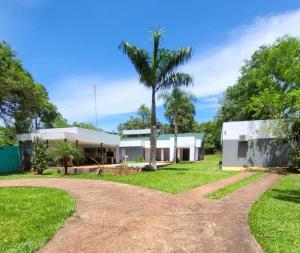 a house with a palm tree in front of it at Quinta "La Calma" in Puerto Iguazú