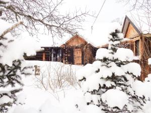 RopienkaNad Horyłką的雪中小屋,有雪覆盖的树