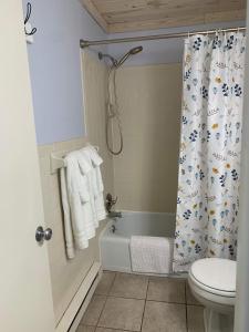a bathroom with a tub and a toilet and a shower curtain at Shanty Creek, Condo, Golf ,Sleeps 4, Pets welcome! in Bellaire