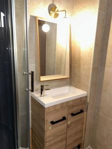a bathroom with a sink and a mirror at Le 8 Appartement - Le Duplex II - parking gratuit - in Mâcon +14 photos