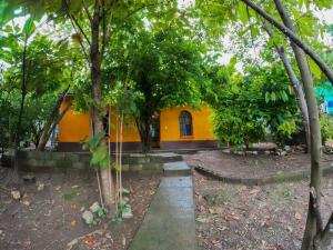 ランキンにあるCasa Cacaoの目の前の木々が茂る黄色い家