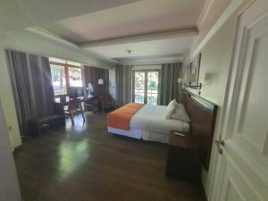 Postel nebo postele na pokoji v ubytování Hotel y Cabañas Palomar - Caja los Andes