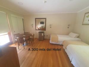 Postel nebo postele na pokoji v ubytování Hotel y Cabañas Palomar - Caja los Andes