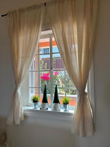 Joogid majutusasutuses Guesthouse Casa DEL RIO +18 fotot