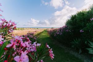 a field of flowers with the ocean in the background at Trafalgar Polo Club in El Palmar