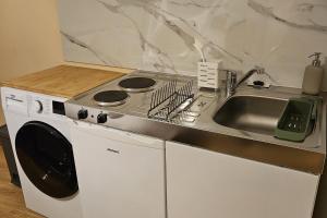 a kitchen with a sink and a washing machine at Cosy London Apartment with Great Views in London +30 photos