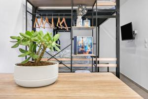 a plant sitting on a wooden table in a room at Casa Enna in Rueil-Malmaison