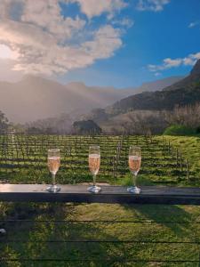 Φυσικό τοπίο κοντά σε αυτό το διαμέρισμα