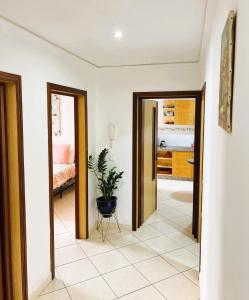 a hallway with two doors and a potted plant at Plein centre, plage & souks à deux pas ! in Agadir