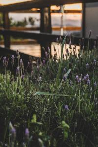 Afbeelding uit fotogalerij van Chalé Alvorada Mirante Refúgio in Itamonte +16 foto's