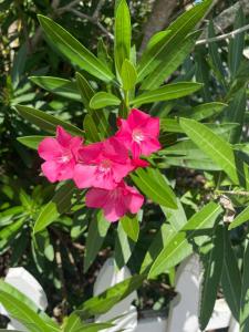 Fotografie z fotogalerie ubytování 208 Gunter v destinaci Saint Marys