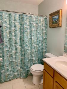 a bathroom with a toilet and a shower curtain at 208 Gunter in Saint Marys