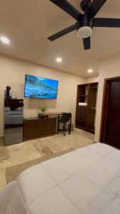 Μια τηλεόραση ή/και κέντρο ψυχαγωγίας στο Habitacion Sencillo