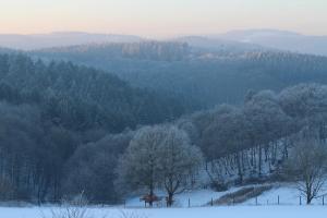 a snow covered hillside with trees in the distance at Pension Willebuhr in Mayen