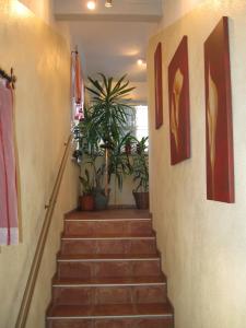 Fotografie z fotogalerie ubytování Appartements Schusser v destinaci Mallnitz