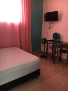 帕尔米拉Hotel Pelman的一间卧室，配有一张床、一张书桌和一台电视