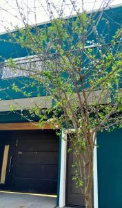 Gambar di galeri bagi Esmeralda Dúo di Concepción del Uruguay