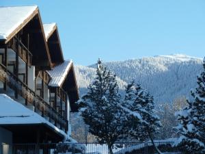 Blick auf ein Resort mit schneebedeckten Bäumen und Bergen in der Unterkunft Hotel Schillingshof in Bad Kohlgrub