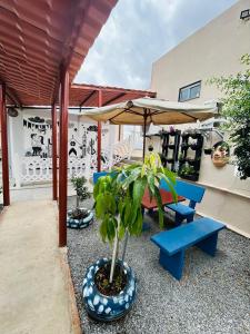 a patio with blue benches and an umbrella at Flat Rainha da Serra in Bezerros
