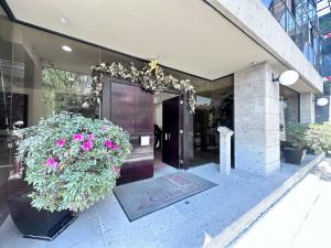 La fachada o entrada de Absolute BEST location in CDMX