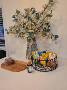 Cozy Apt, minutes from Boston!的酒水