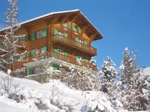 Chalet Kolibri v zimě