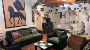 Fotografie z fotogalerie ubytování Posada Martha Tolima v destinaci Salento