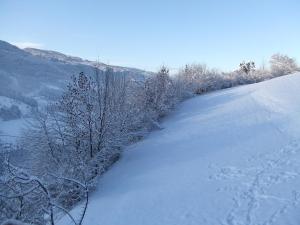 Agriturismo Maso Santa Libera during the winter
