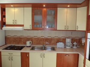 Kuchyň nebo kuchyňský kout v ubytování Cool Apartment