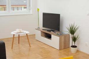 Televízia a/alebo spoločenská miestnosť v ubytovaní Amaros Apartment