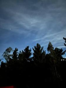 ピチレムにあるCasa Eco Bosqueのギャラリーの写真