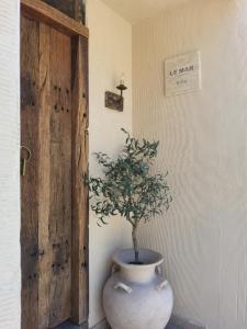 沙美岛Le mar villa的门旁白色花瓶里的植物