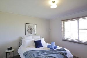 a bedroom with a large bed with blue pillows at Family Retreat in Central Tenterfield in Tenterfield