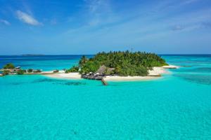 Landskap semula jadi dekat dengan resort