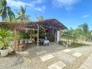 Zahrada ubytování Coconut Inn Moalboal