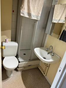 ein Badezimmer mit Toilette, Waschbecken und Dusche in der Unterkunft Studio au pied des pistes in Le Dévoluy