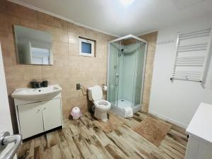 Bilik mandi di Brasov 3C Delux 3 +62 gambar