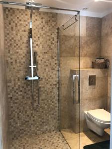 a bathroom with a glass shower with a toilet at Agréable Studio entre mer & montagne piscine privé in Le Bar-sur-Loup