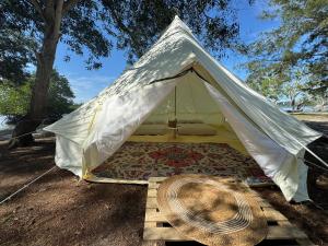 Tenda bianca con cappello in un campo di Curve56 a Tuaran
