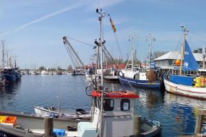 Příroda nedaleko prázdninového domu + 7 fotografií